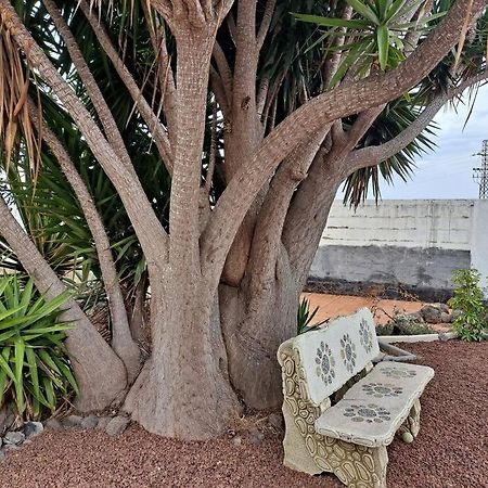 Tenerife Apartment Dulcynea With Terrace And Garden 600M2 With Ocean And Teide View Icod De Los Vinos Exterior foto