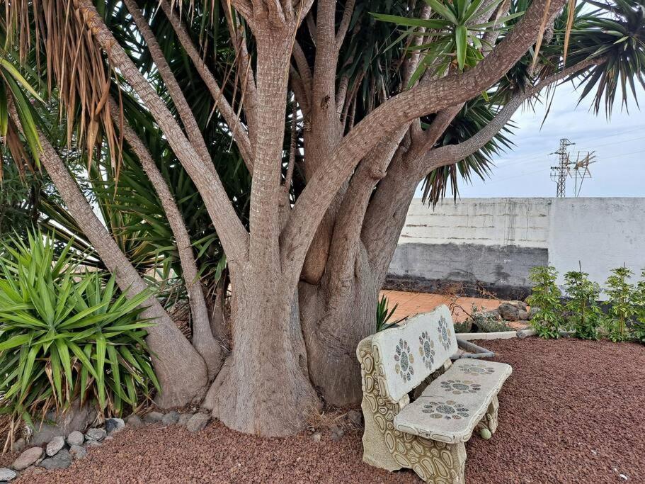 Tenerife Apartment Dulcynea With Terrace And Garden 600M2 With Ocean And Teide View Icod De Los Vinos Exterior foto