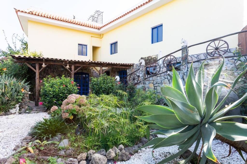 Tenerife Apartment Dulcynea With Terrace And Garden 600M2 With Ocean And Teide View Icod De Los Vinos Exterior foto